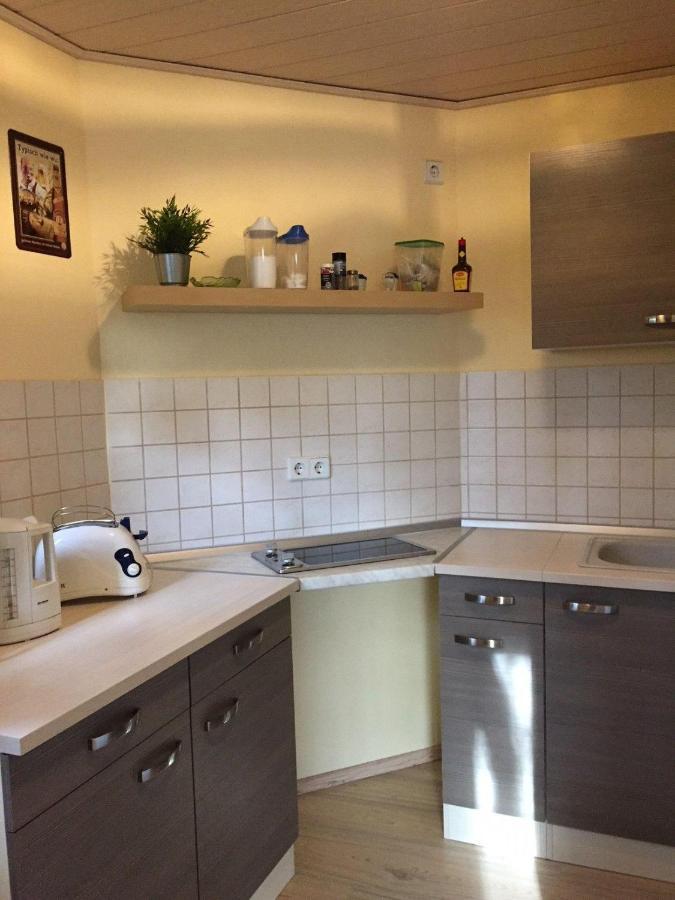 Ferienwohnung-Schmidt-2 Gelenau المظهر الخارجي الصورة